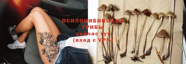 индика Аркадак