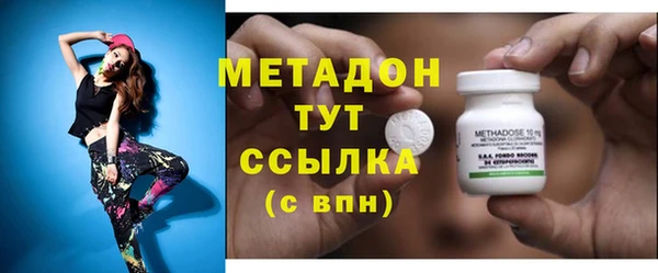 индика Аркадак