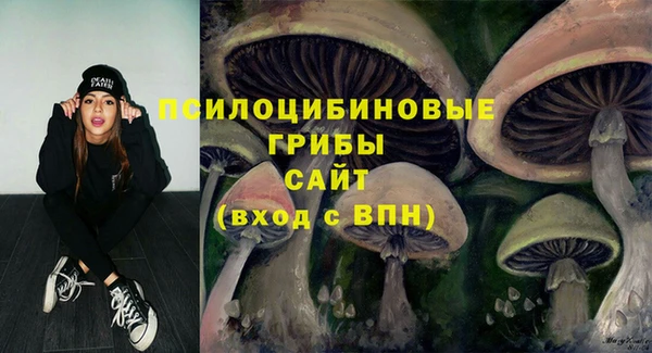 дурь Армянск