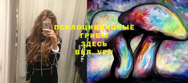 дурь Армянск