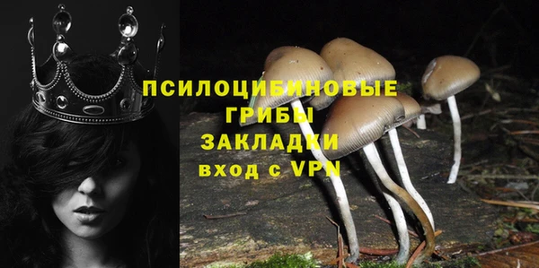 мескалин Арсеньев