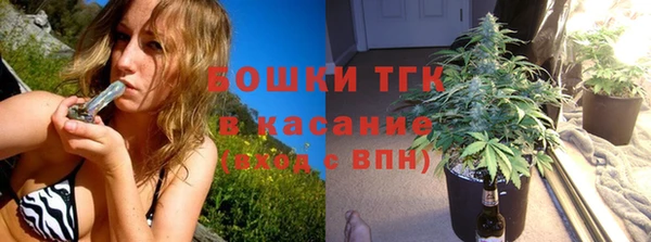 индика Аркадак