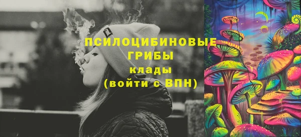 индика Аркадак
