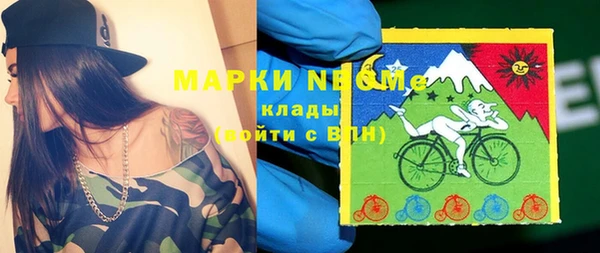 индика Аркадак
