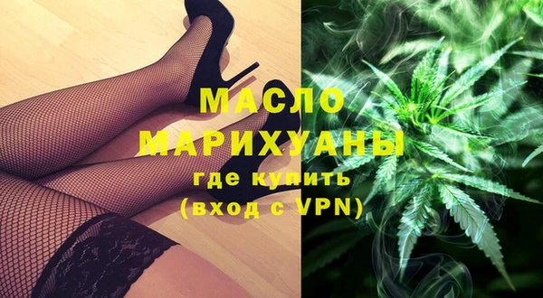 индика Аркадак