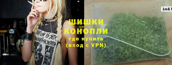 индика Аркадак