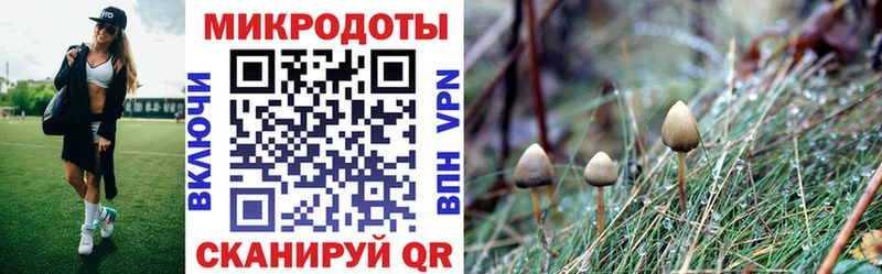 Псилоцибиновые грибы Magic Shrooms  где купить наркоту  Оленегорск 