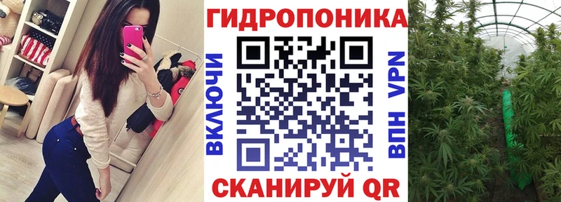 Бошки марихуана Amnesia Оленегорск